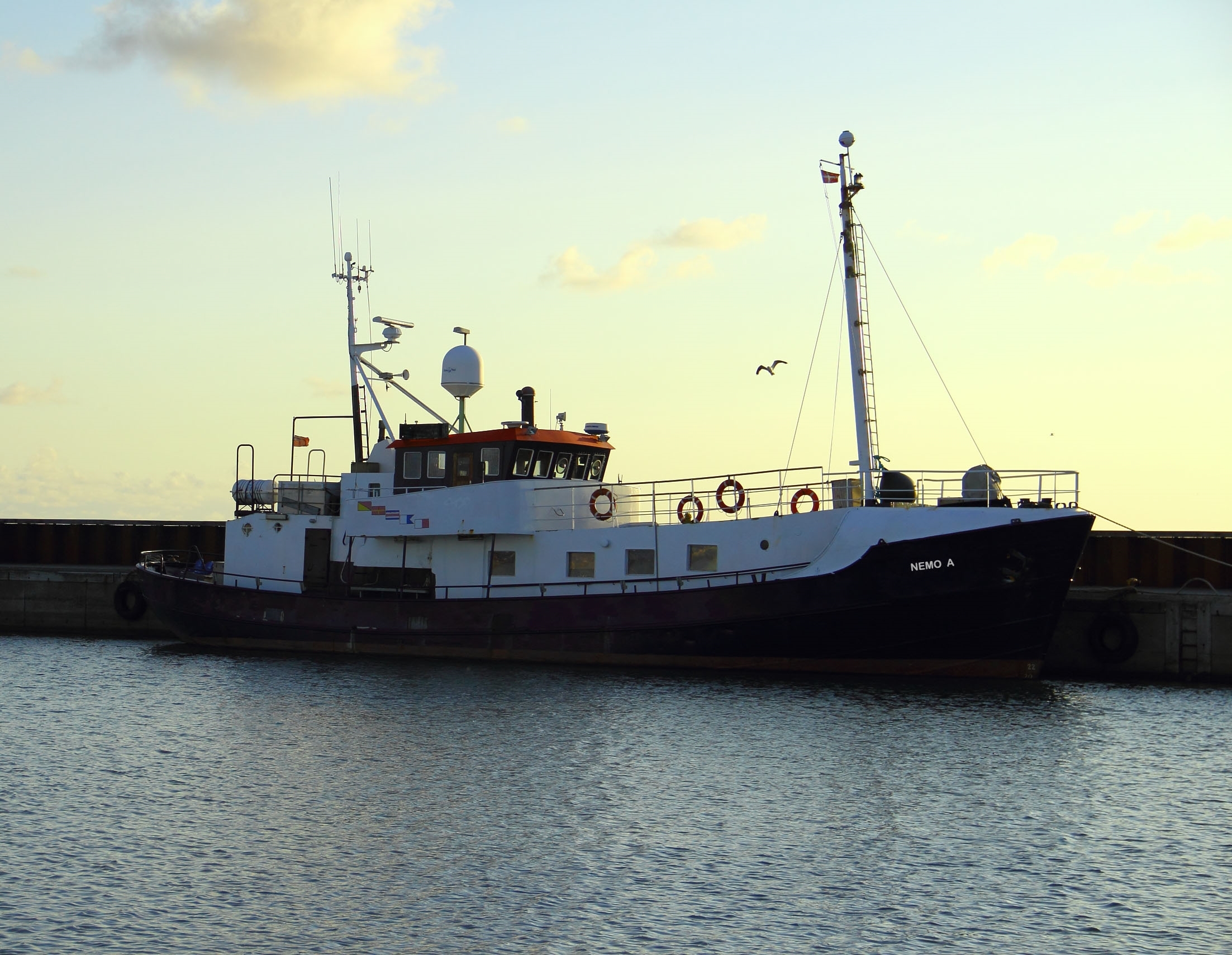 fiskebåden m/s nemo på vej på limfjords-safari